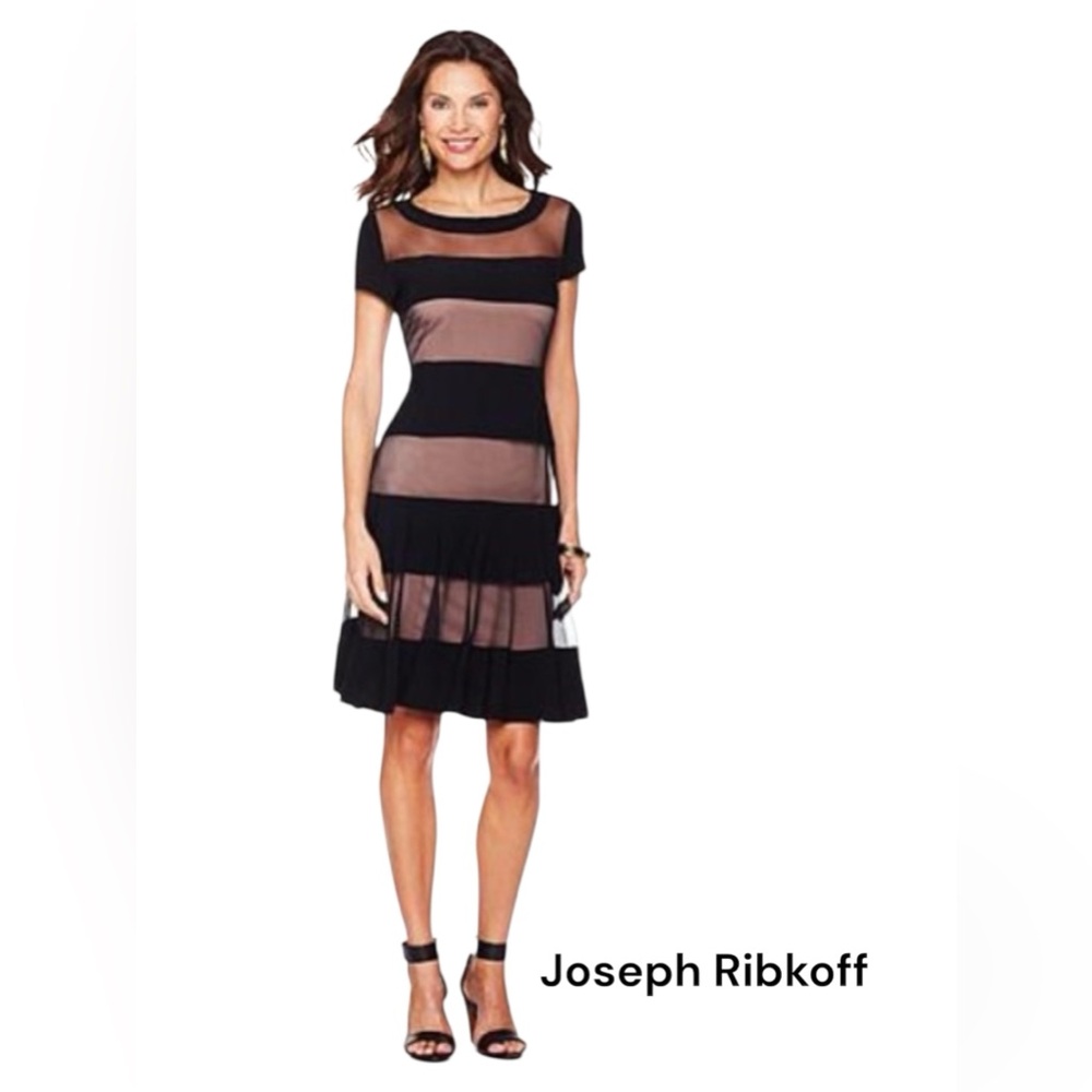 Ribkoff Sexy Mesh and Jersey Dress LN 10